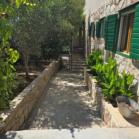 Apartment Villa Maslinica