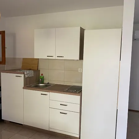 Apartment Villa Maslinica